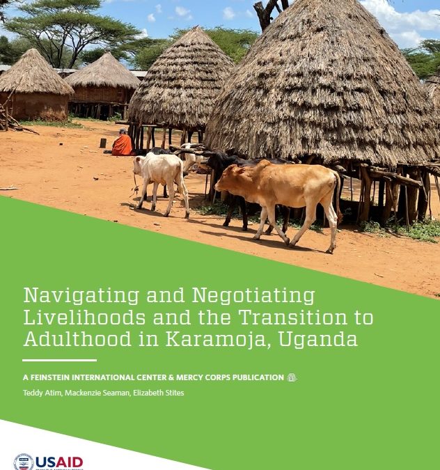 Navigating and Negotiating Livelihoods and the Transition to Adulthood in Karamoja, Uganda