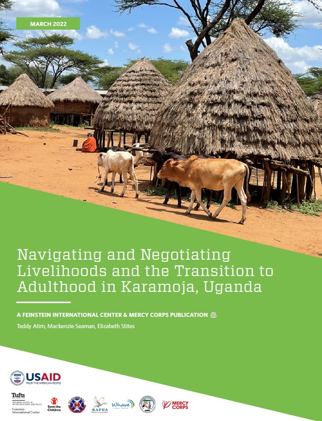 Report image: navigating and negotiating livelihoods in Karamoja, Uganda