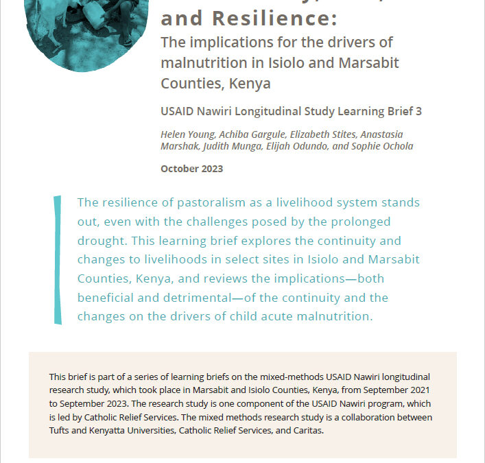 Vulnerability, Risk, and Resilience: The implications for the drivers of malnutrition in Isiolo and Marsabit Counties, Kenya