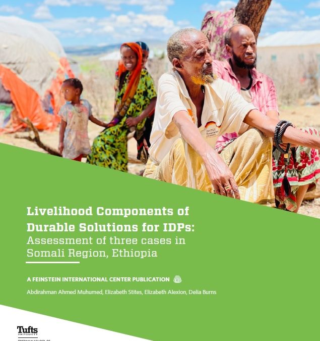 Livelihood Components of Durable Solutions for IDPs