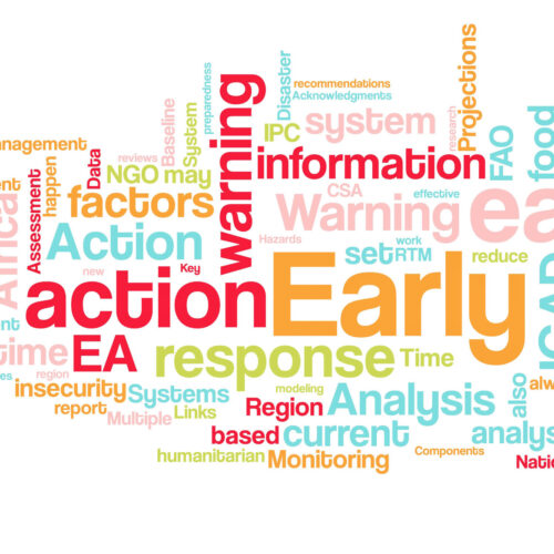 Word cloud of early warning related terms