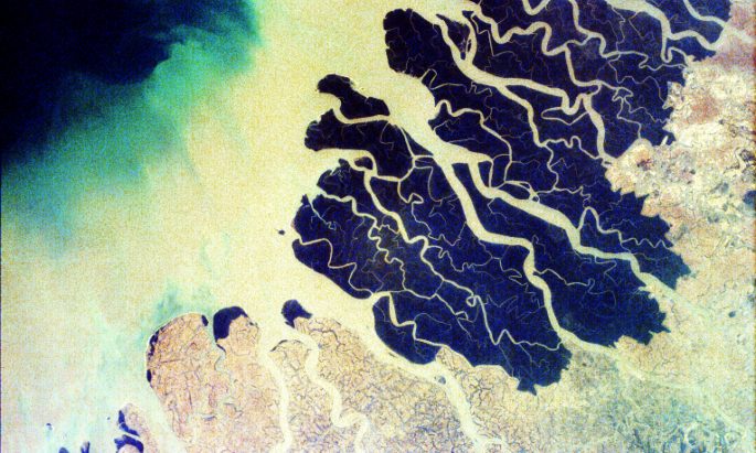 picture of parts of the Ganges delta