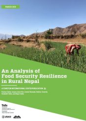 food security resilience