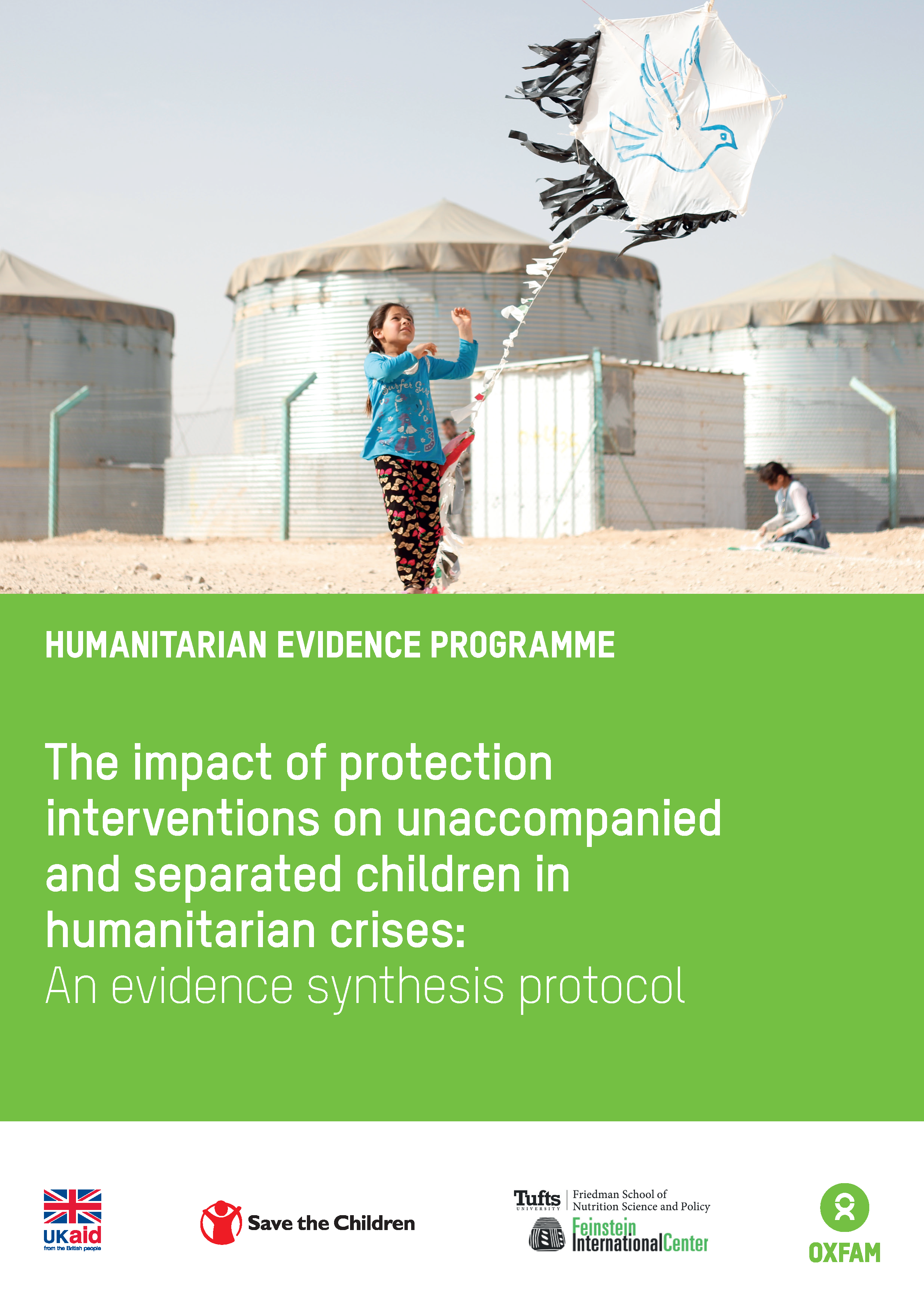 child protection in humanitarian crises