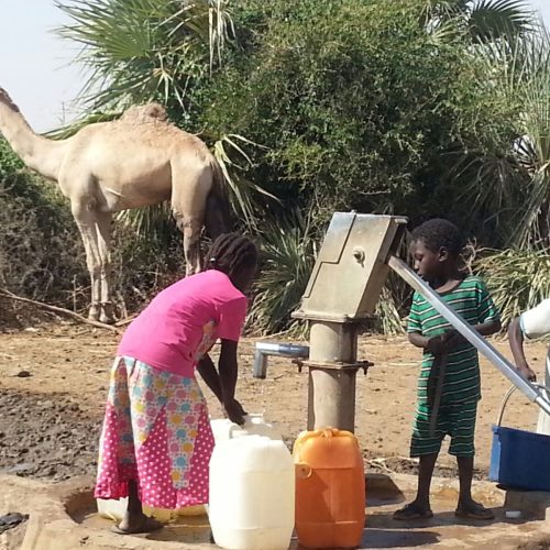 Sudan resilience, humanitarian action, climate change, livelihoods, and pastoralism research