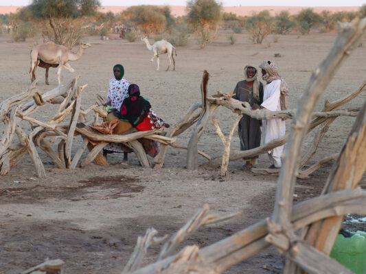 pastoralists and livestock