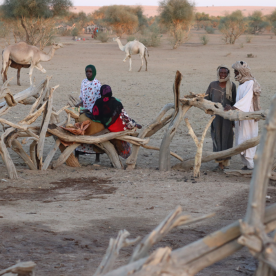 Pastoralists with livestock in the background