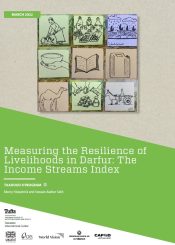 cover of the report on measuring the reslience of livelihoods in Darfur