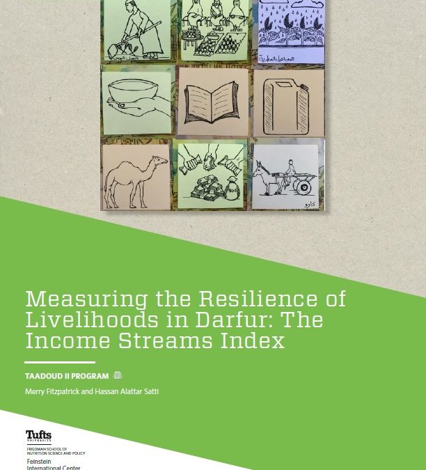 Measuring the Resilience of Livelihoods in Darfur: The Income Streams Index