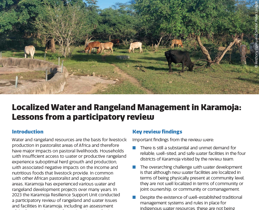 Localized Water and Rangeland Management in Karamoja: Lessons from a participatory review