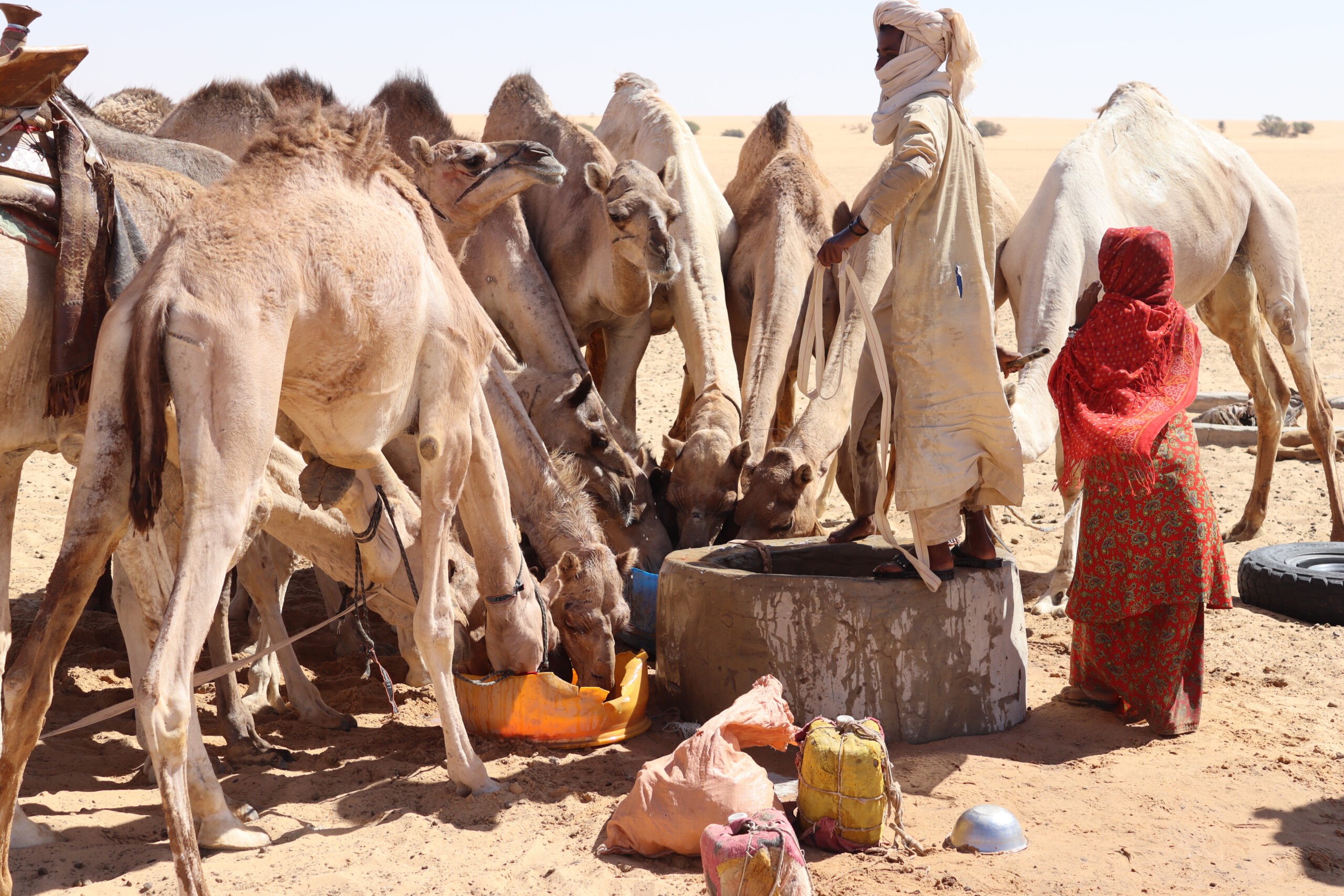 Camels drink water by a well in Sudan while two people look on
