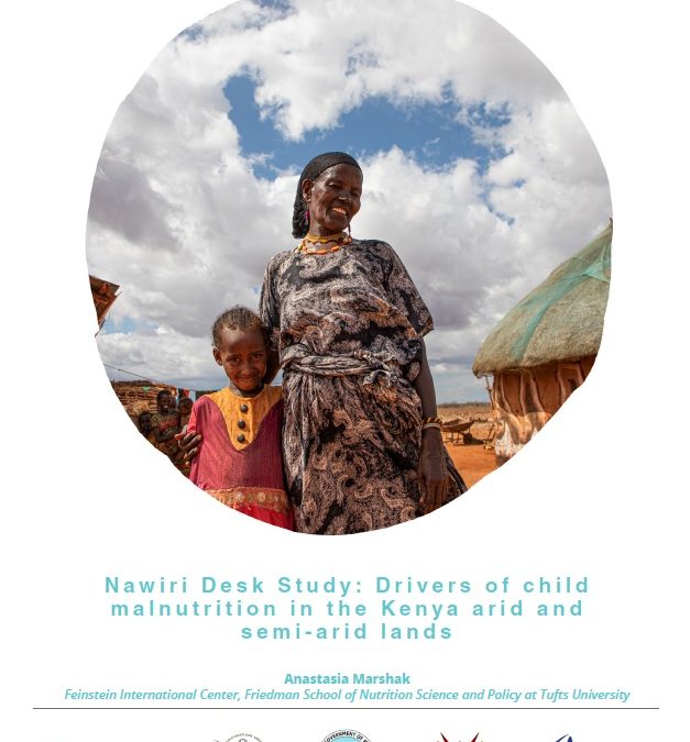 Drivers of malnutrition in the Kenyan arid and semi-arid lands (Nawiri desk study)
