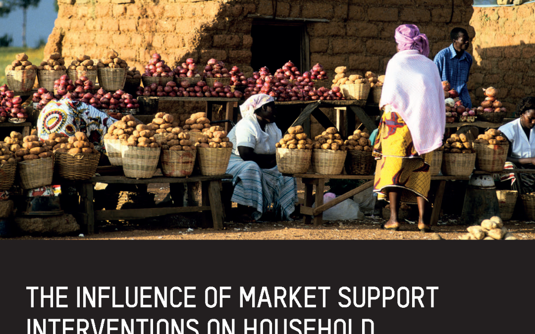 The Influence of Market Support Interventions on Household Food Security