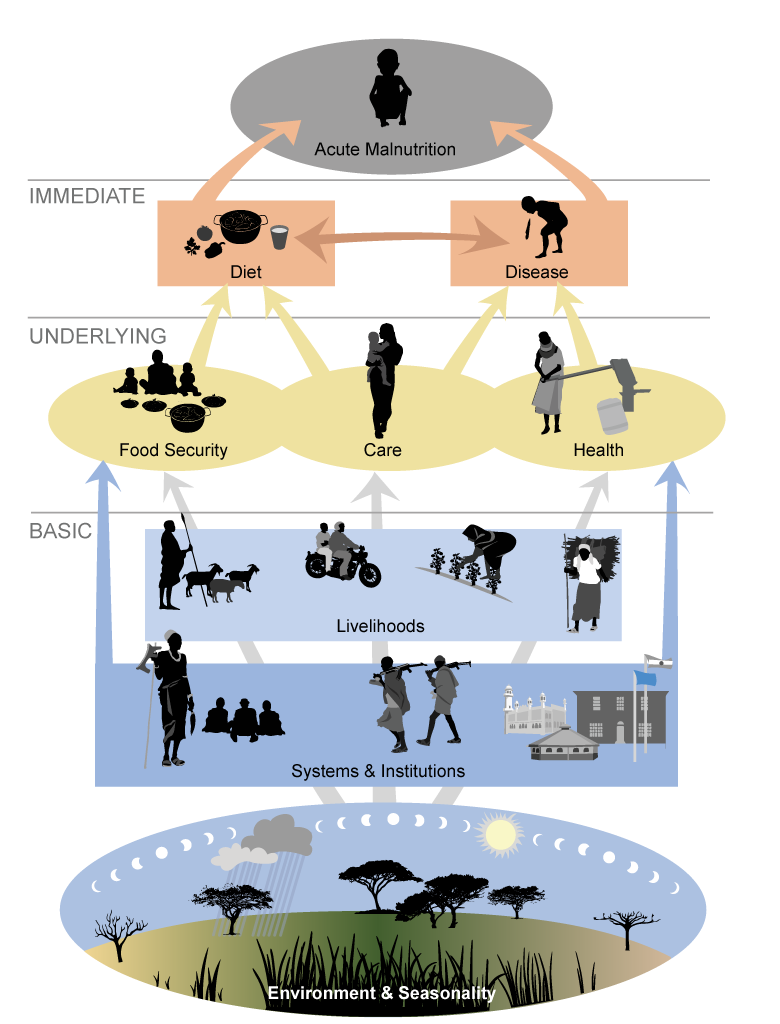 infographic of causal drivers of malnutrition