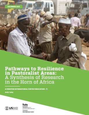 Pathways to Resilience in Pastoralist Areas: A Synthesis of Research in the Horn of Africa