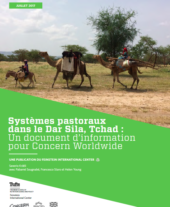 Systèmes pastoraux dans le Dar Sila, Tchad