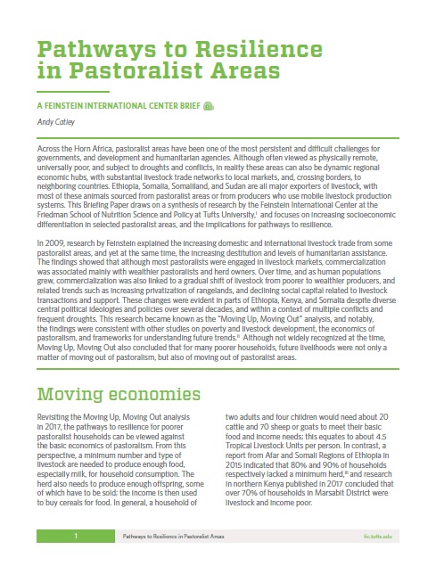 Briefing Paper: Pathways to Resilience in Pastoralist Areas: A Synthesis of Research in the Horn of Africa