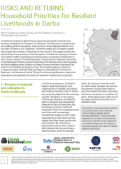 resilient livelihood systems Darfur