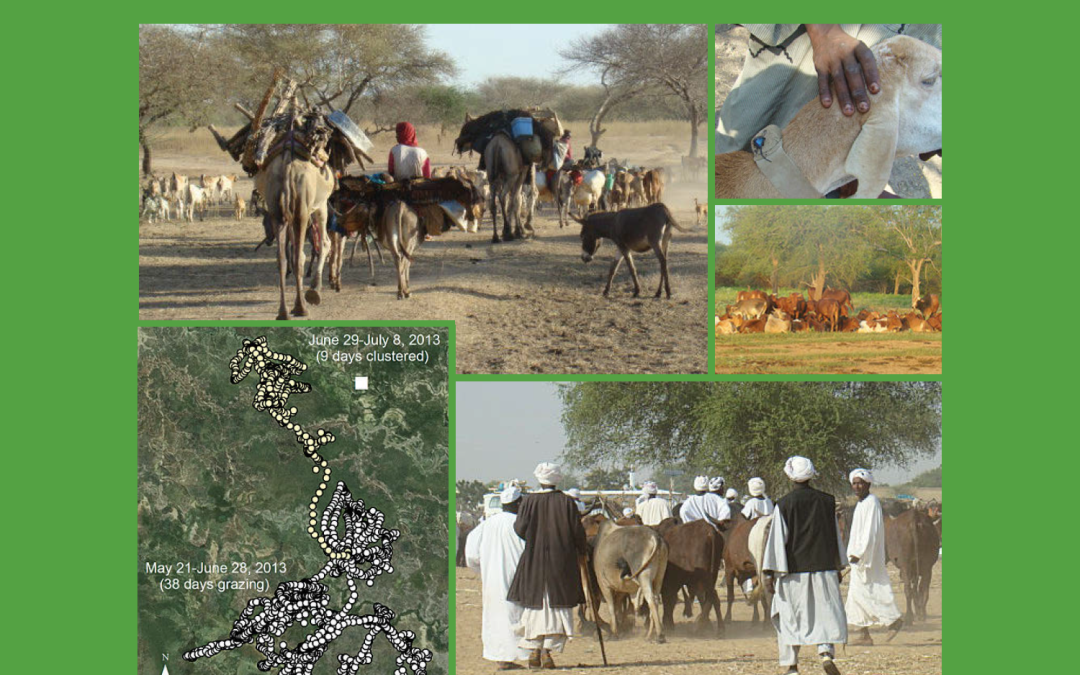 Risk, Resilience, and Pastoralist Mobility