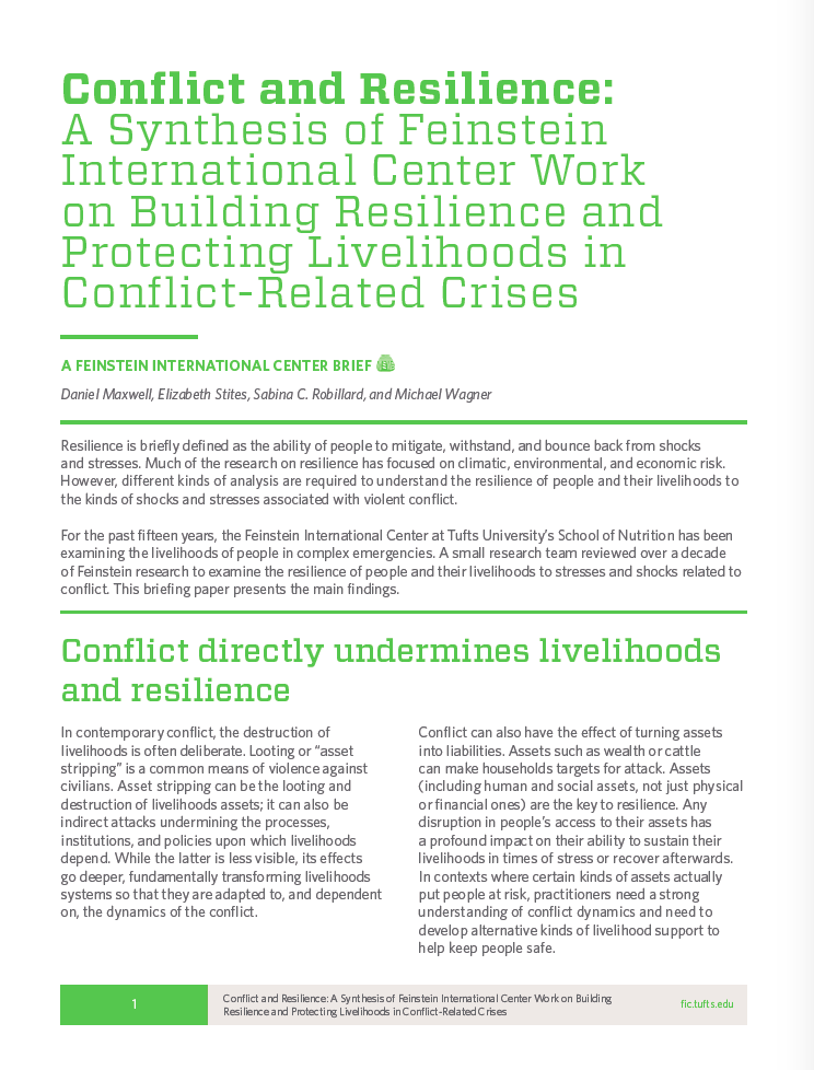 Cover of the Conflict Resilience brief