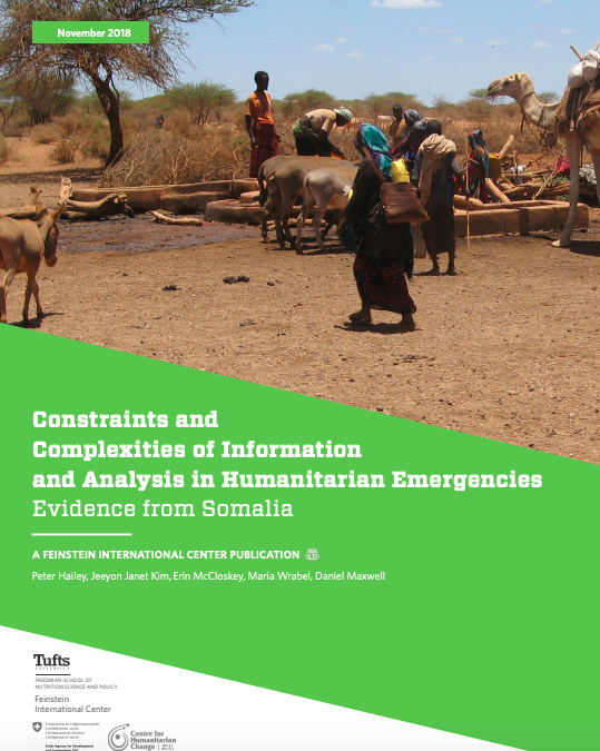 Constraints and Complexities of Information Analysis in Humanitarian Emergencies: Evidence from Somalia