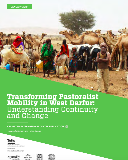 Transforming Pastoralist Mobility in West Darfur: Understanding Continuity and Change