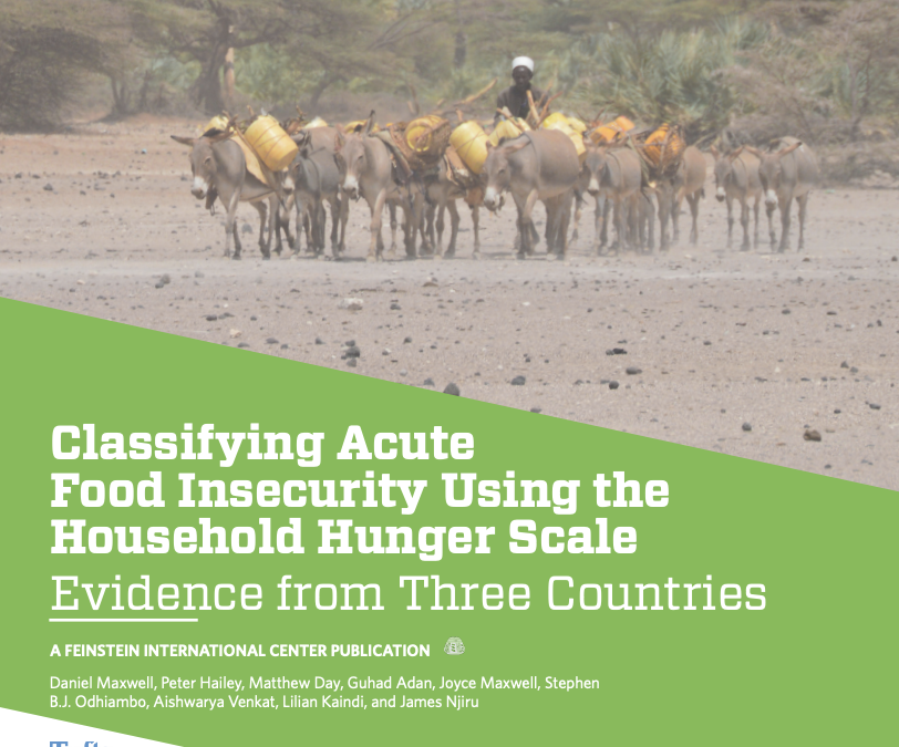 Classifying Acute Food Insecurity Using the Household Hunger Scale