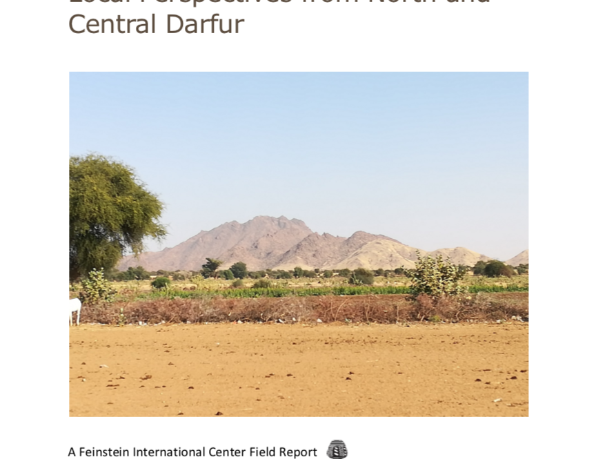 Natural Resources Management: Local Perspectives from North and Central Darfur