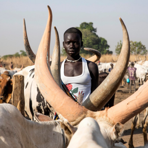 Woman stands among livestock
