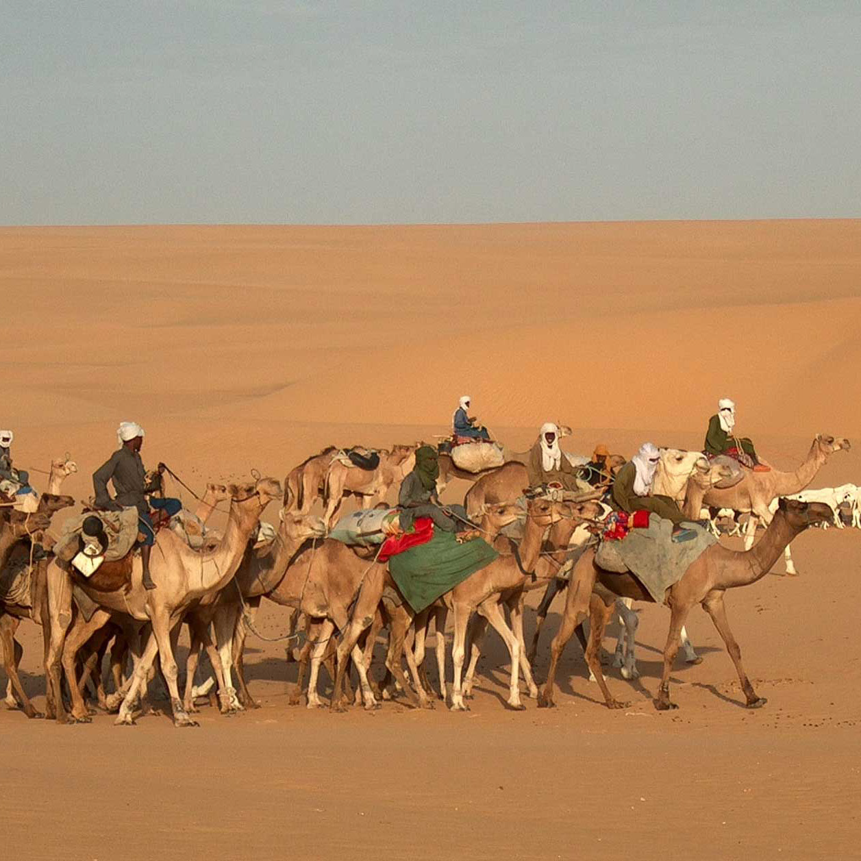 Pastoralists riding camels in the desert.