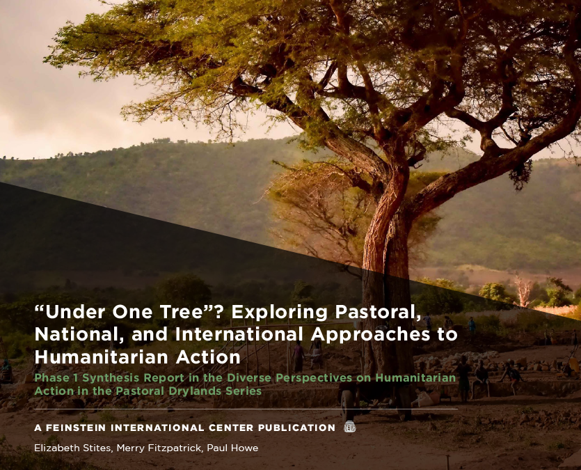 “Under One Tree”? Exploring Pastoral, National, and International Approaches to Humanitarian Action