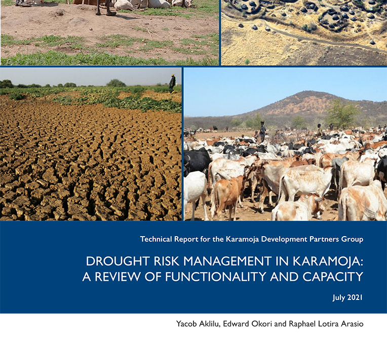 Drought Risk Management in Karamoja: A Review of Functionality and Capacity