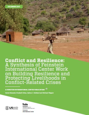 conflict and resilience synthesis