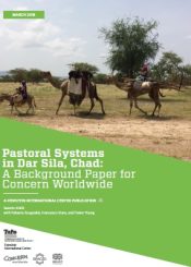 dynamics of pastoralism