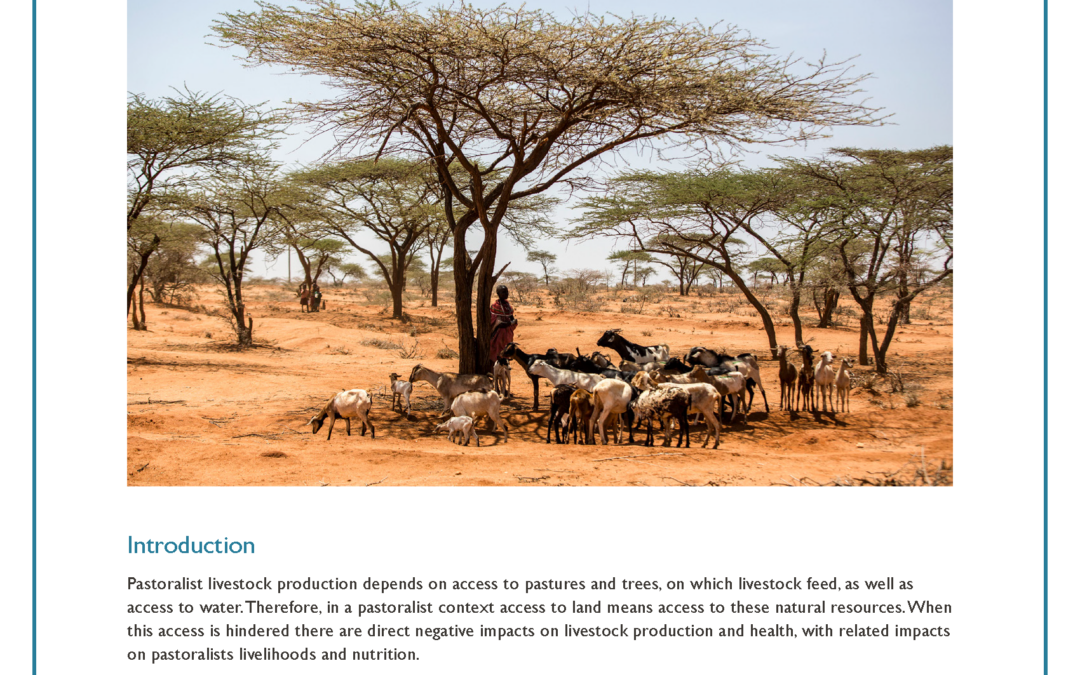 Pastoralism and Land Access Issues in Africa