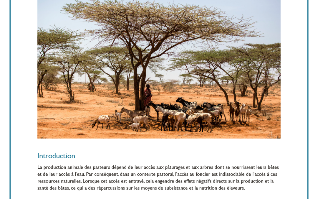 Pastoralisme et problèmes d’accès au foncier en Afrique