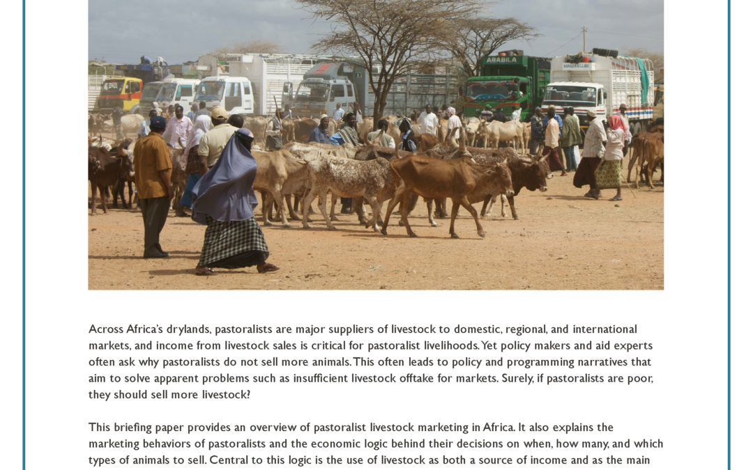 Pastoralism and Livestock Marketing in Africa