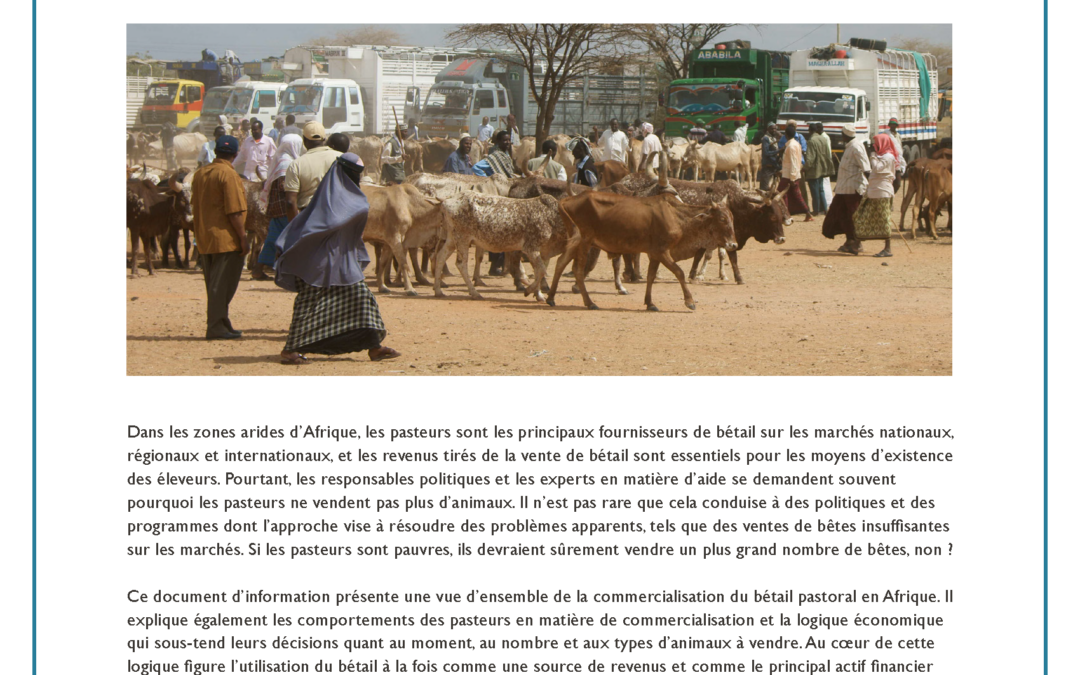 Le pastoralisme et la commercialisation du bétail en Afrique