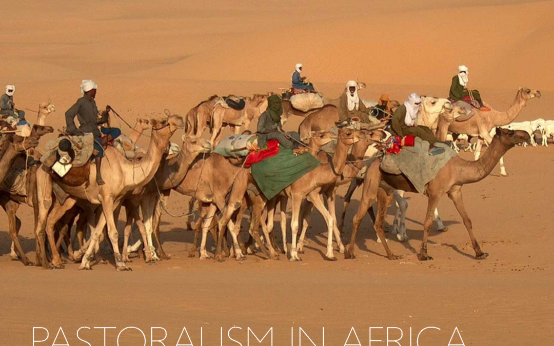 Pastoralism in Africa: A Primer