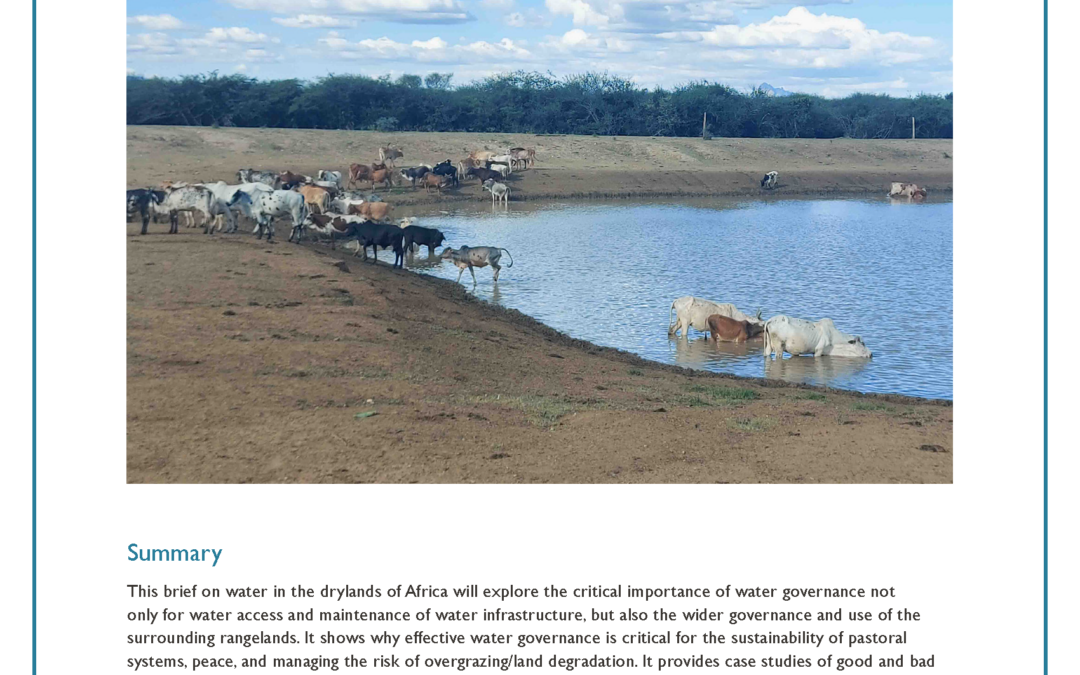 Water Governance in Pastoralist Areas of Africa