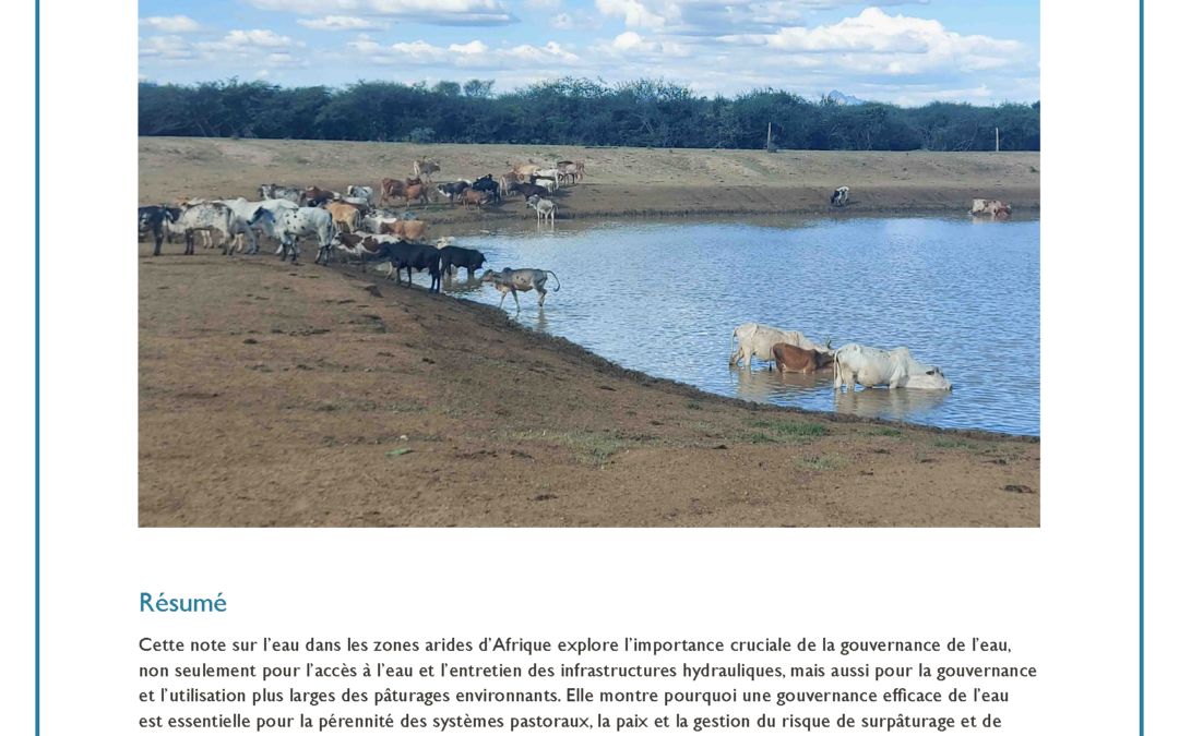 Gouvernance de l’eau dans les zones pastorales d’Afrique