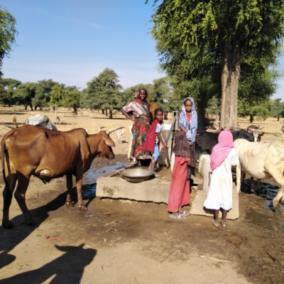 Girls and cattle at water well