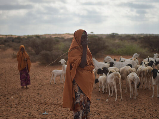 A mother and daughter stand with their herd of goats in El Baraf, Somalia