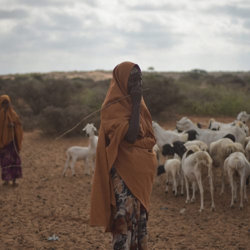 A mother and daughter stand with their herd of goats in El Baraf, Somalia