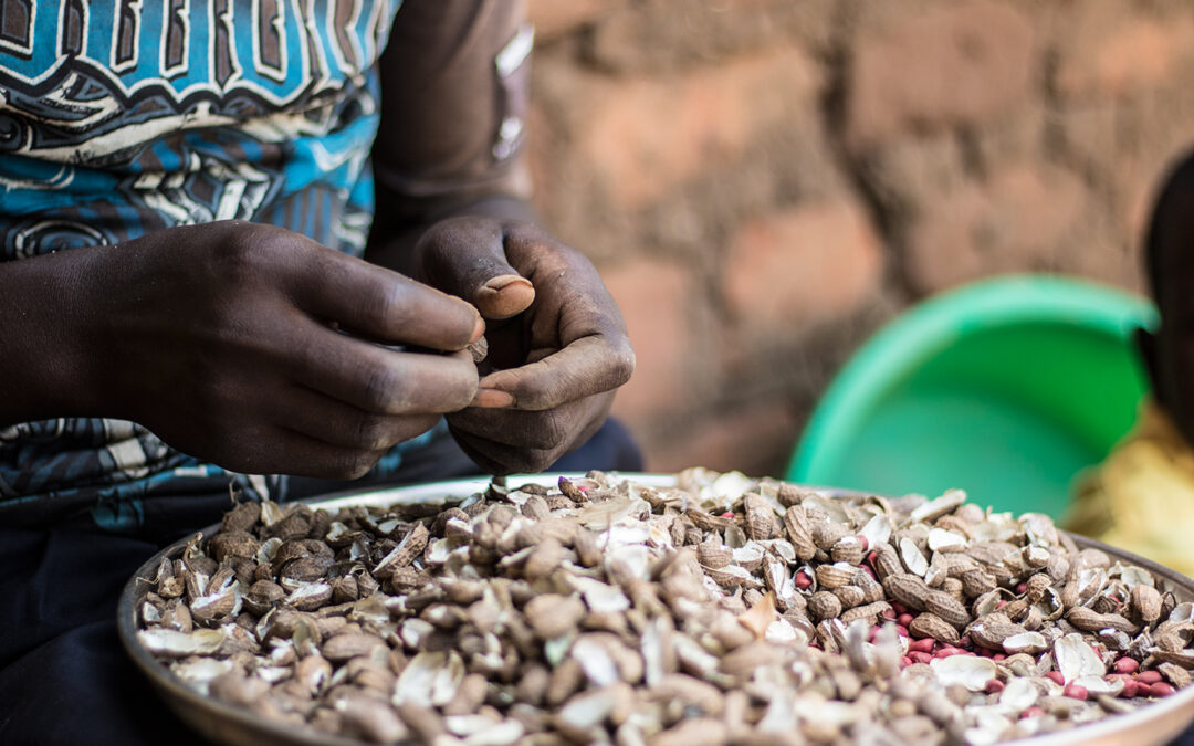 Preventing Famine in the 21st Century