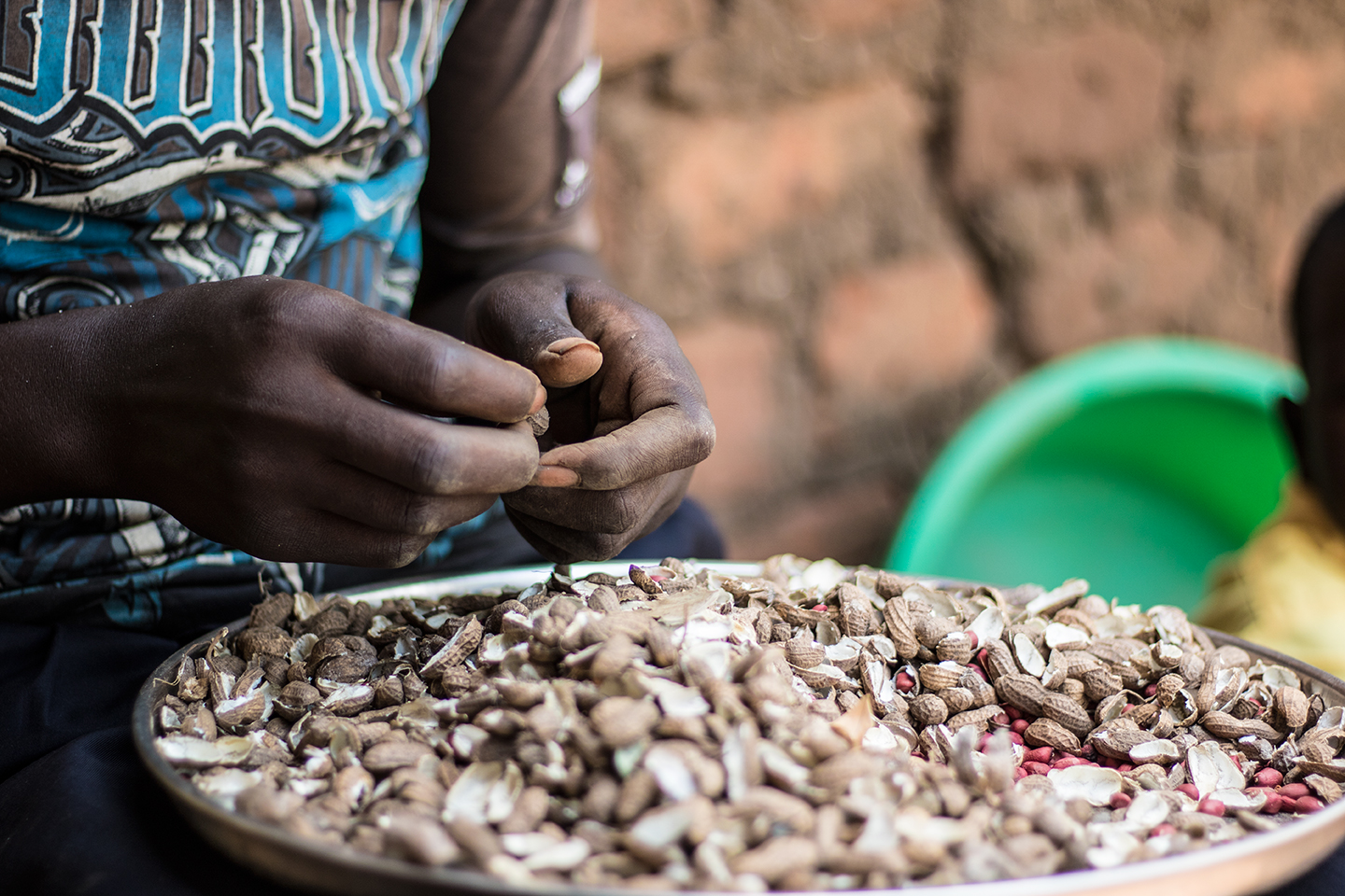 closeup of hands shelling peanuts