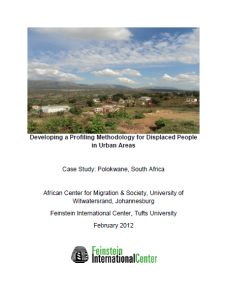 Developing a Profiling Methodology for Displaced People in Urban Areas ...