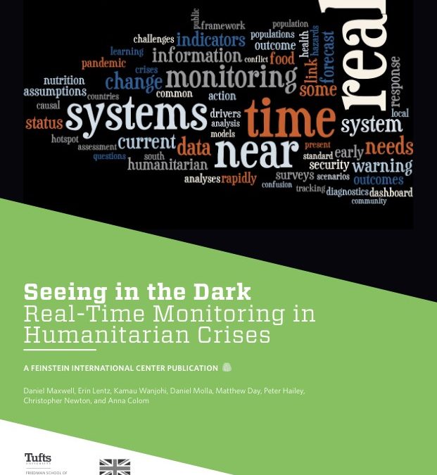 Seeing in the Dark: Real-Time Monitoring in Humanitarian Crises