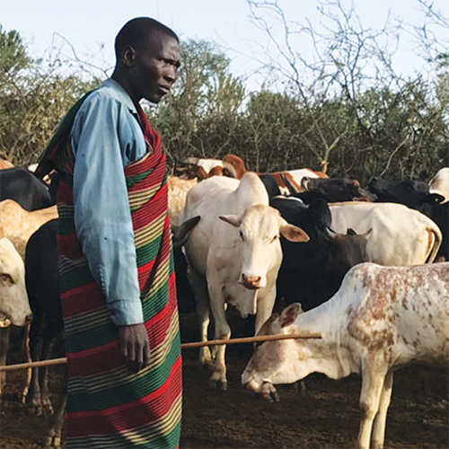 pastoralist stands with livestock